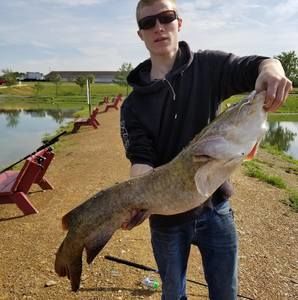 Meet your Posher, Zach